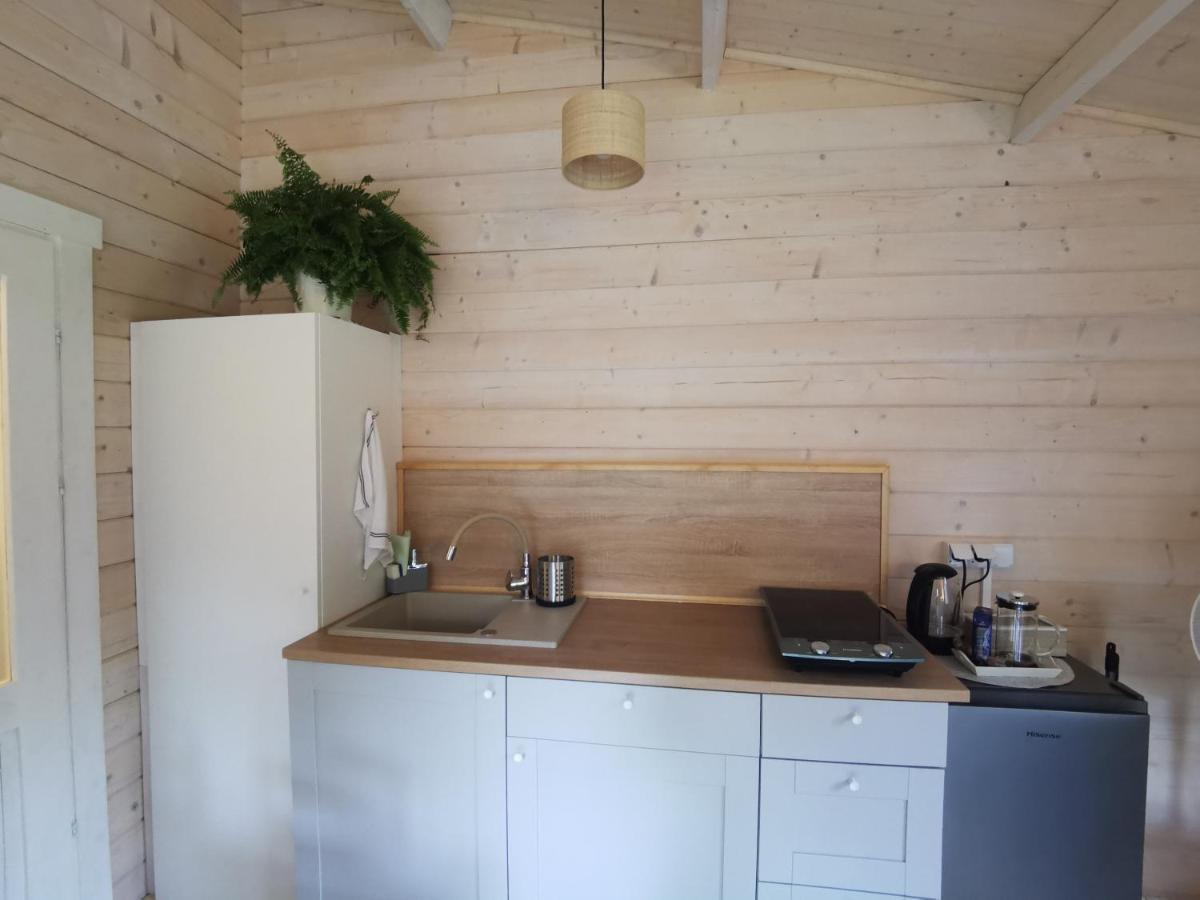 Domek Caloroczny Na Wylacznosc Niebieska Osada Nad Gorskim Potokiem Stary Waliszow 外观 照片