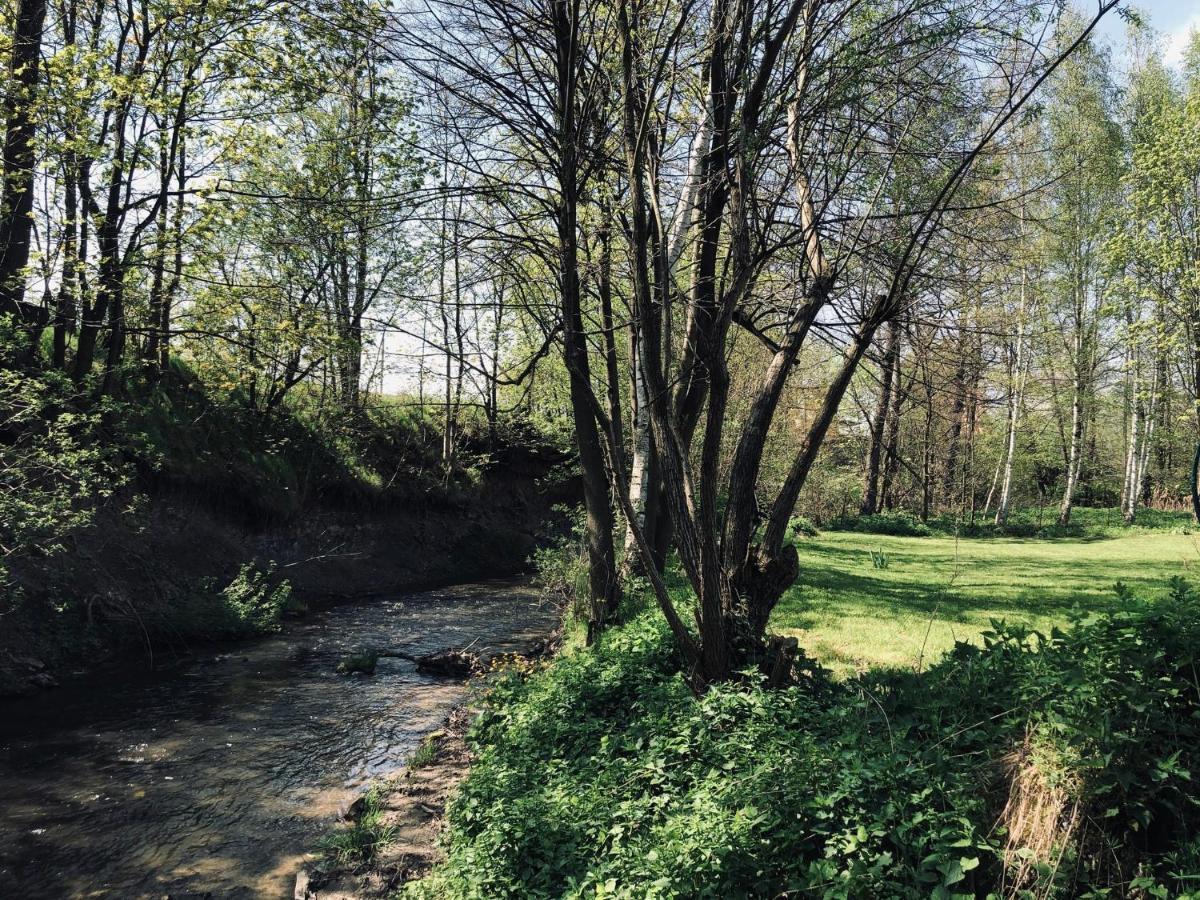 Domek Caloroczny Na Wylacznosc Niebieska Osada Nad Gorskim Potokiem Stary Waliszow 外观 照片