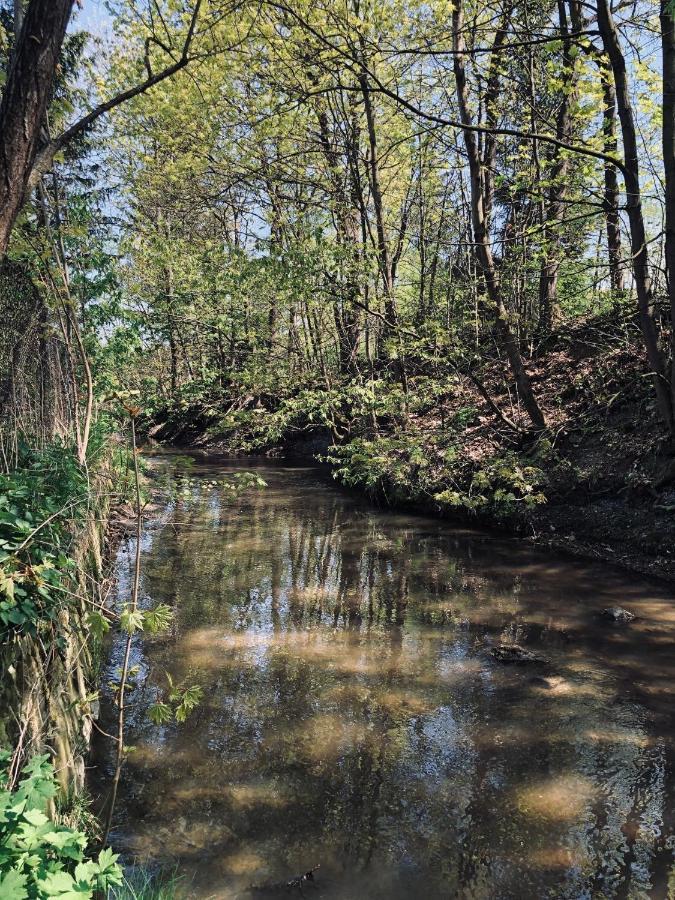 Domek Caloroczny Na Wylacznosc Niebieska Osada Nad Gorskim Potokiem Stary Waliszow 外观 照片