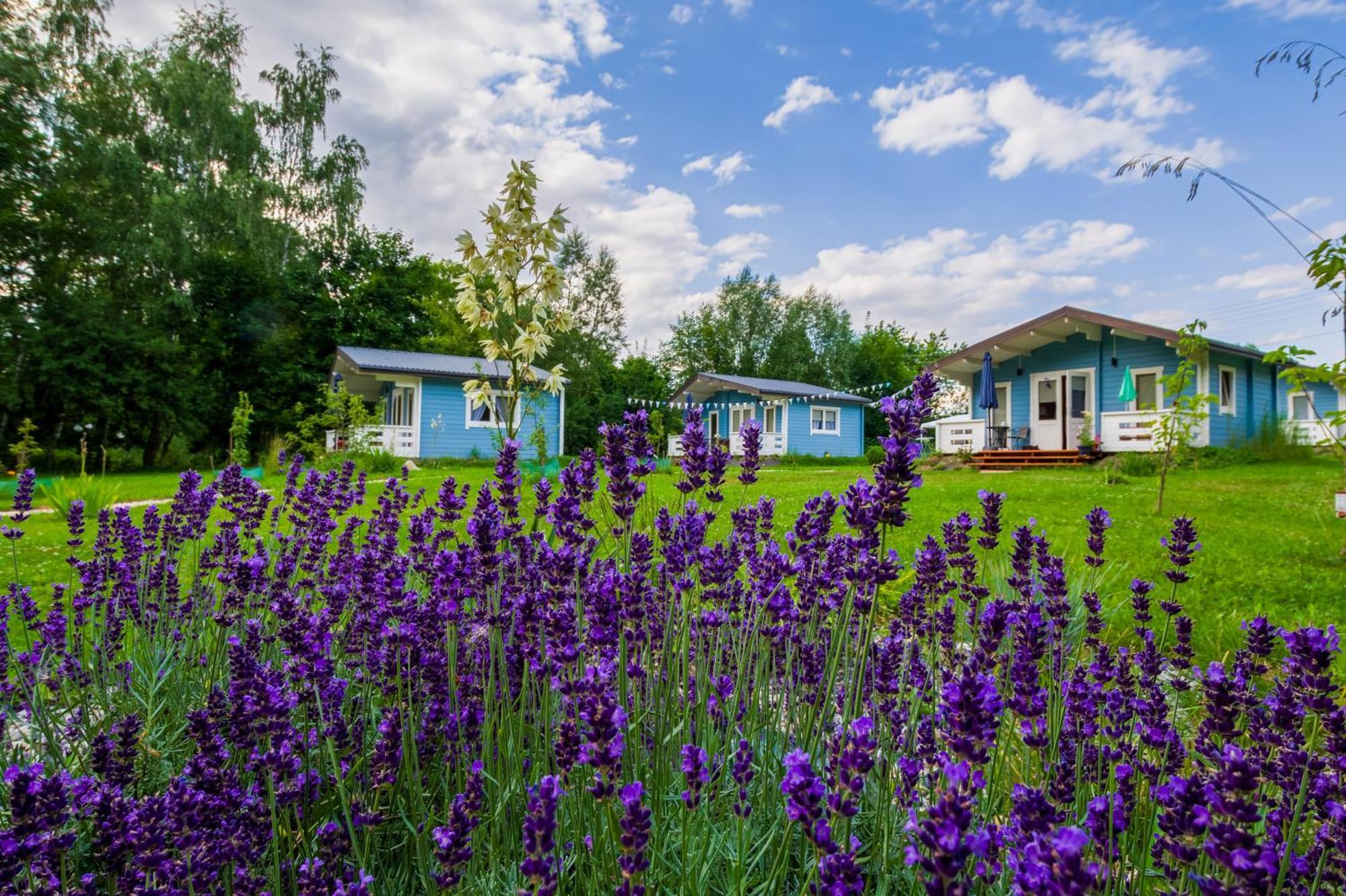Domek Caloroczny Na Wylacznosc Niebieska Osada Nad Gorskim Potokiem Stary Waliszow 外观 照片